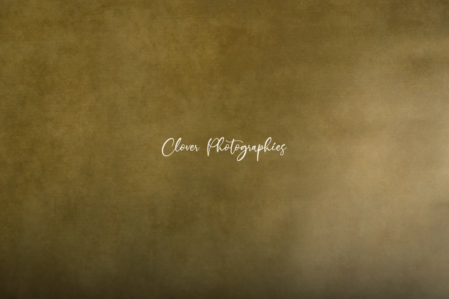 clover photographies - fond de studio