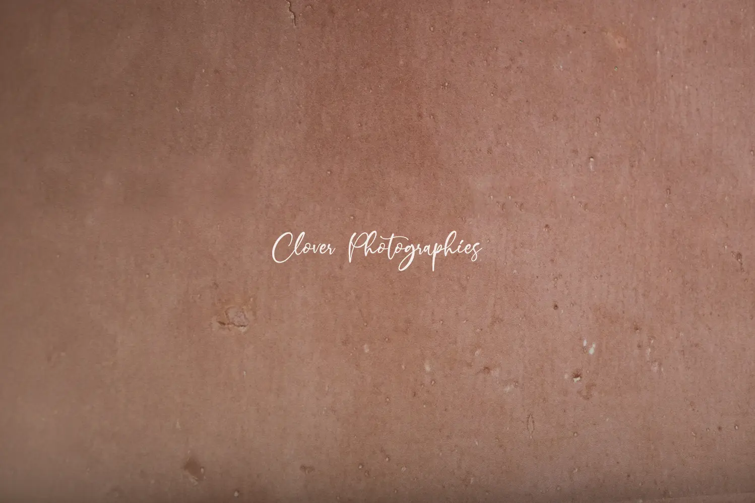 clover photographies - fond de studio