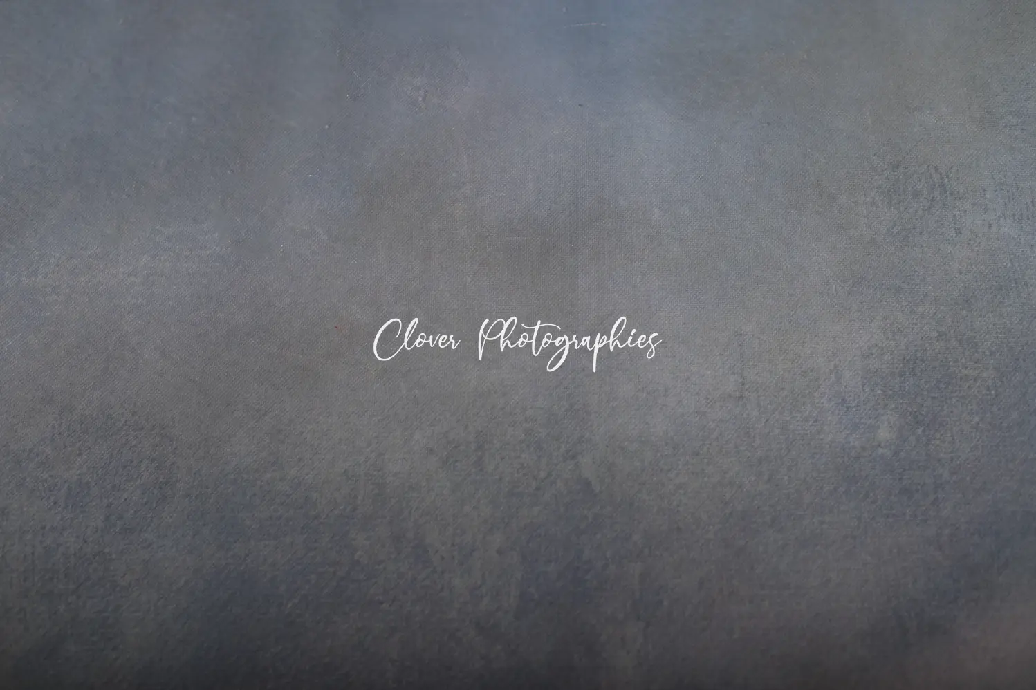 clover photographies - fond de studio