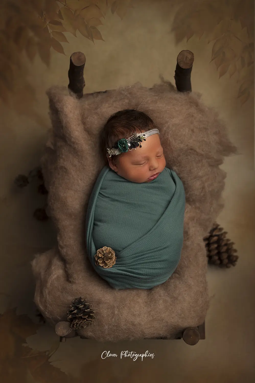 photo naissance, photographe naissance strasbourg - clover photographies