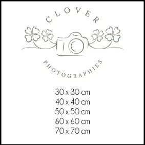 tableau clover photographies