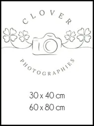 tableau clover photographies
