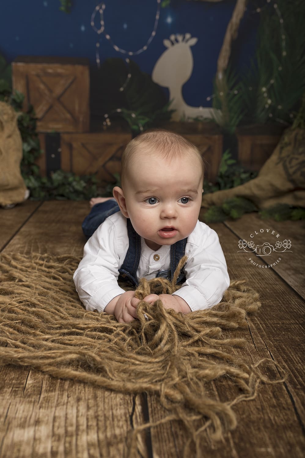 Seance Photo Bebe 6 Mois Theme Jungle A Strasbourg Clover Photographies Seance Photo Bebe 6 Mois Theme Jungle A Strasbourg Clover Photographies