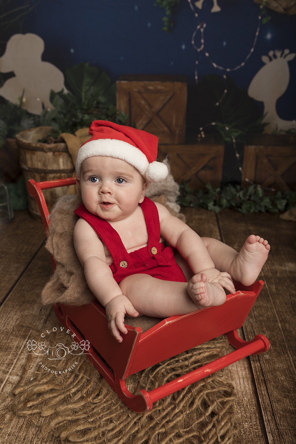 Seance Photos Bebe De 6 Mois A 2 Ans Clover Photographies Seance Photos Bebe De 6 Mois A 2 Ans Clover Photographies