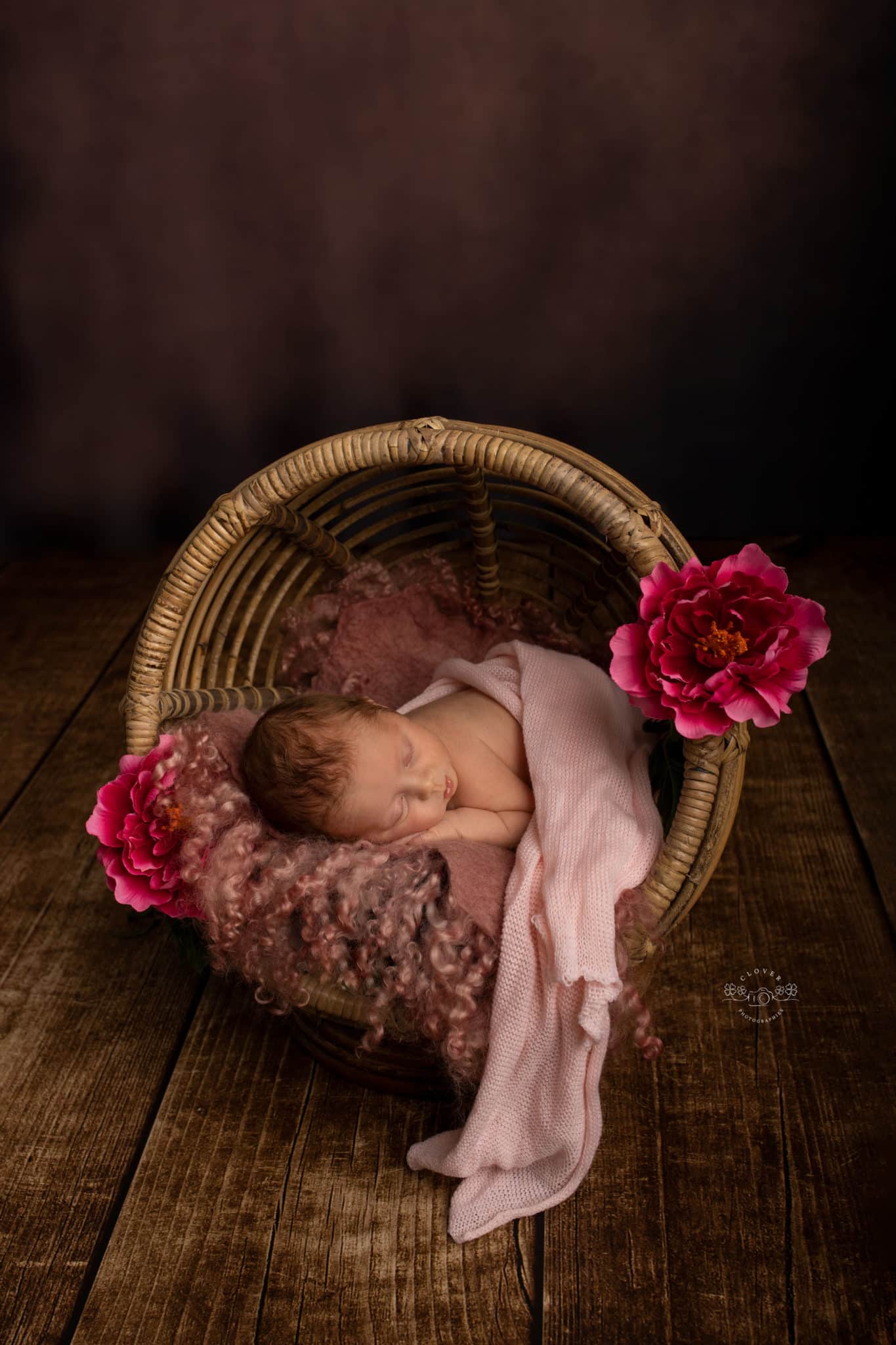 Seance Photo Naissance Strasbourg Clover Photographies Nouveau Ne Strasbourg Clover Photographies Seance Photo Naissance Strasbourg Clover Photographies Nouveau Ne Strasbourg Clover Photographies