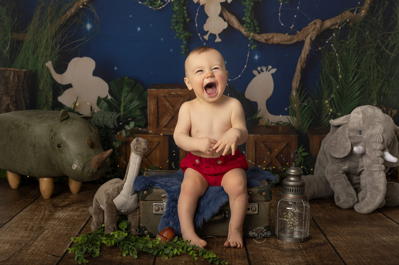 seance photo bébé anniversaire smash the cake strasbourg truchtersheim photographe clover photographies