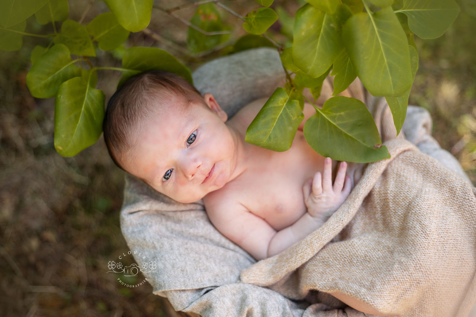 photo bébé naissance extérieur, shooting photo nouveau-né nature, bohème clover photographies, strasbourg, molsheim, truchtersheim