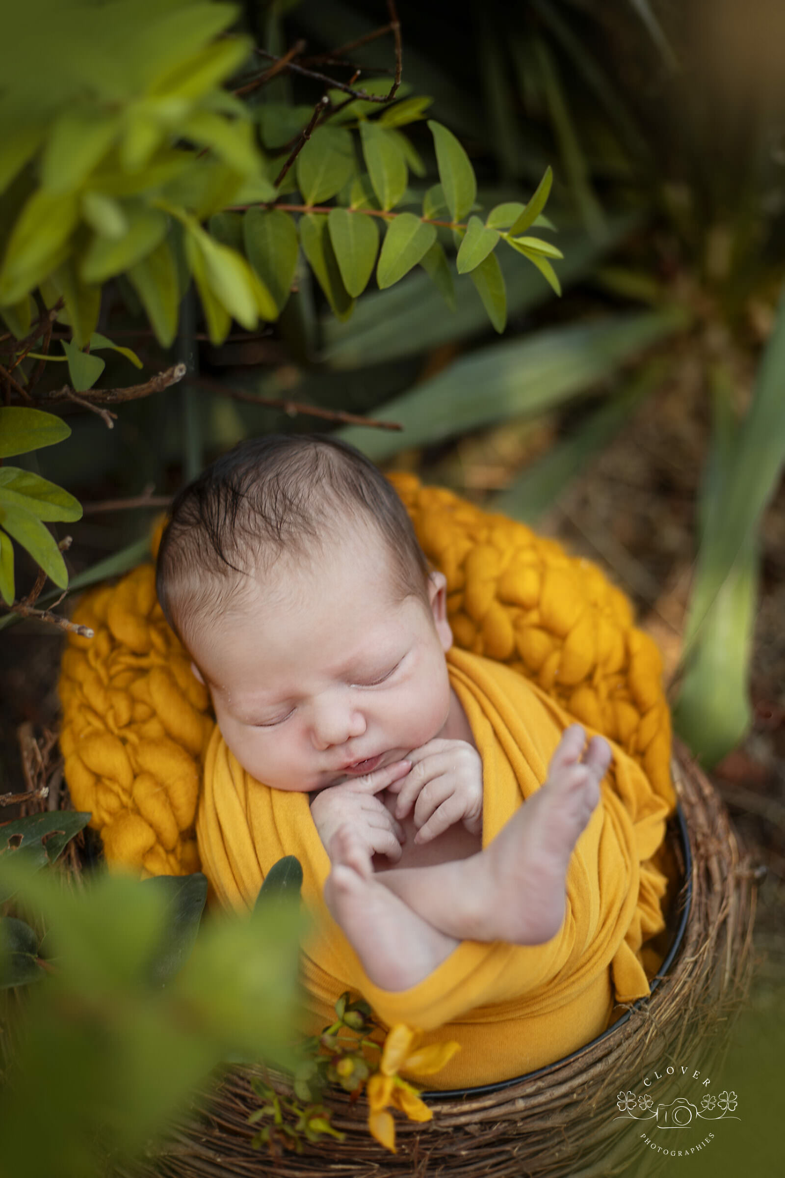 photo bébé naissance extérieur, shooting photo nouveau-né nature, bohème clover photographies, strasbourg, molsheim, truchtersheim