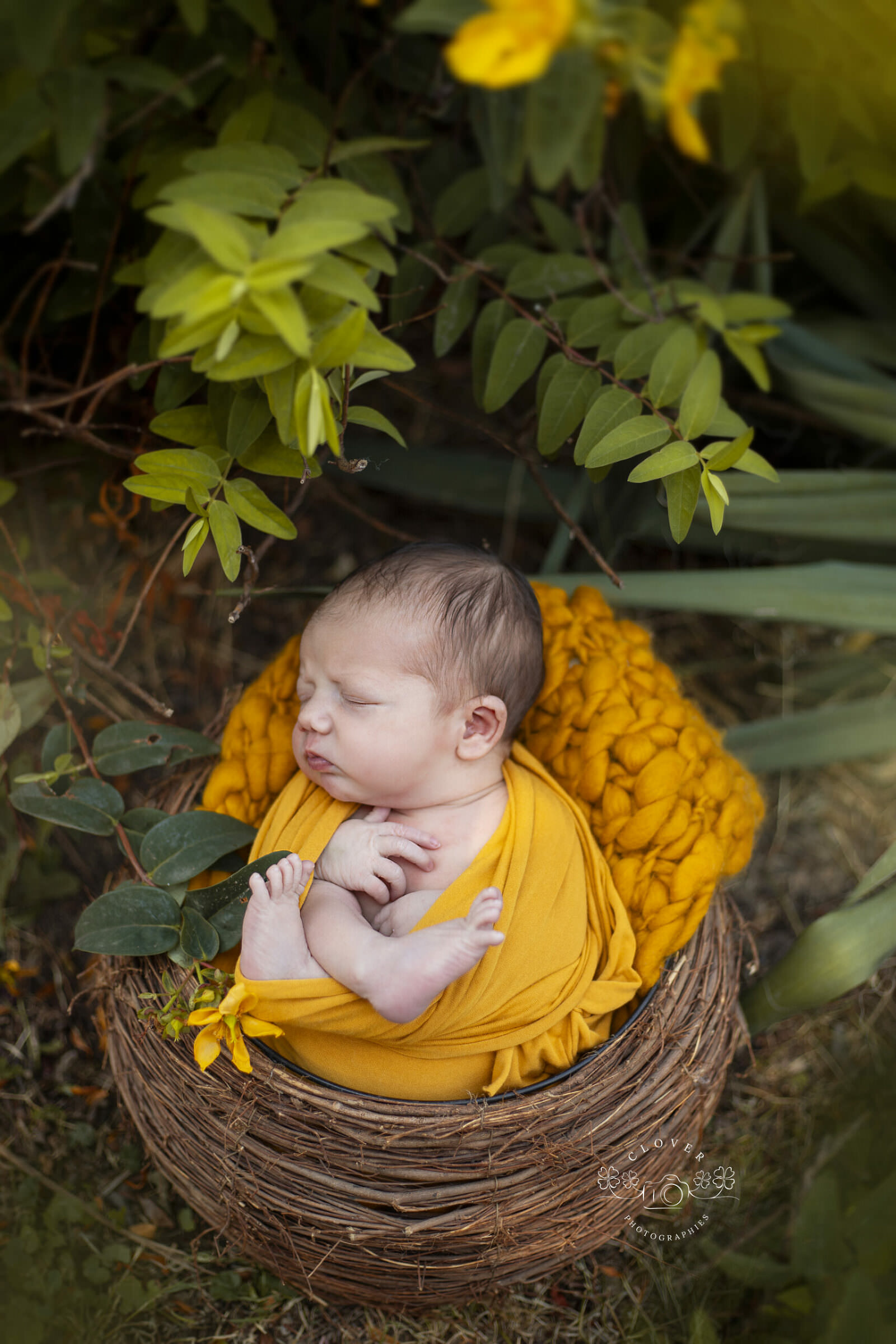 photo bébé naissance extérieur, shooting photo nouveau-né nature, bohème clover photographies, strasbourg, molsheim, truchtersheim